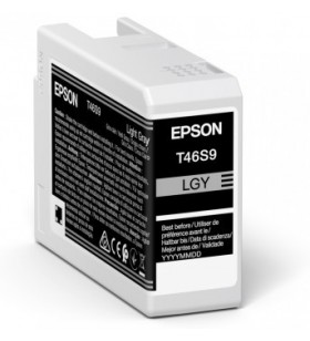 Epson UltraChrome Pro cartușe cu cerneală 1 buc. Original Gri deschis