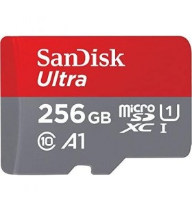 Memory Card SanDisk MicoSDXC 256GB, CLASA 10