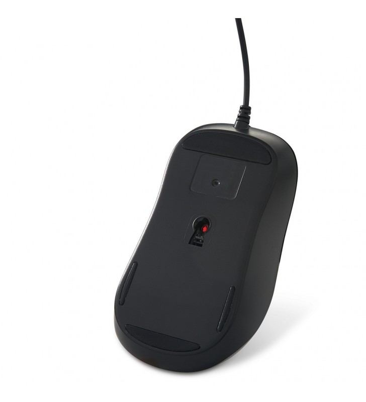 Verbatim 49024 mouse-uri Mâna dreaptă USB Tip-A Optice 1000 DPI