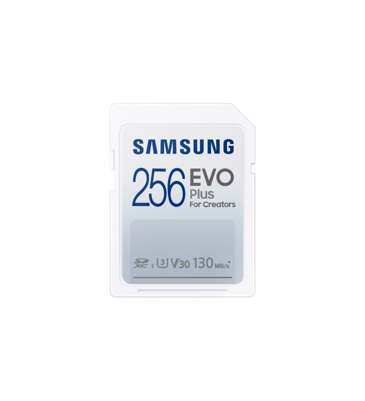 Samsung EVO Plus 256 Giga Bites SDXC UHS-I