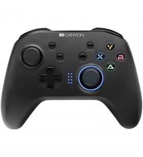 2.4G Wireless Controller with  built-in 600mah battery, 1M Type-C charging cable ,6 axis motion sensor support nintendo switch ,