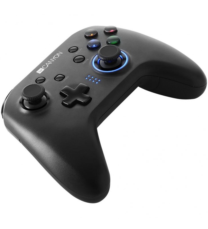 2.4G Wireless Controller with  built-in 600mah battery, 1M Type-C charging cable ,6 axis motion sensor support nintendo switch ,